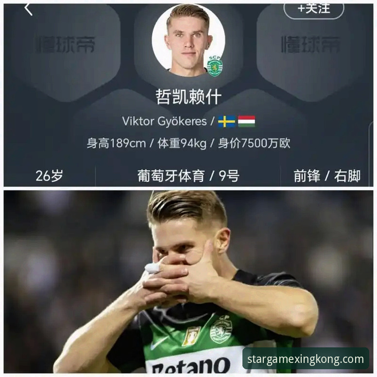 星空娱乐登录入口 深度揭秘:哲凯赖什20球里程碑背后的英超锋线格局