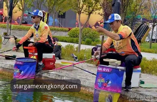 揭秘星空娱乐赛事分析功能：高手都在用的深度解读技巧